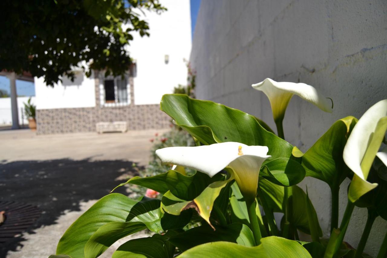 La Orquidea De Cordoba 빌라 외부 사진