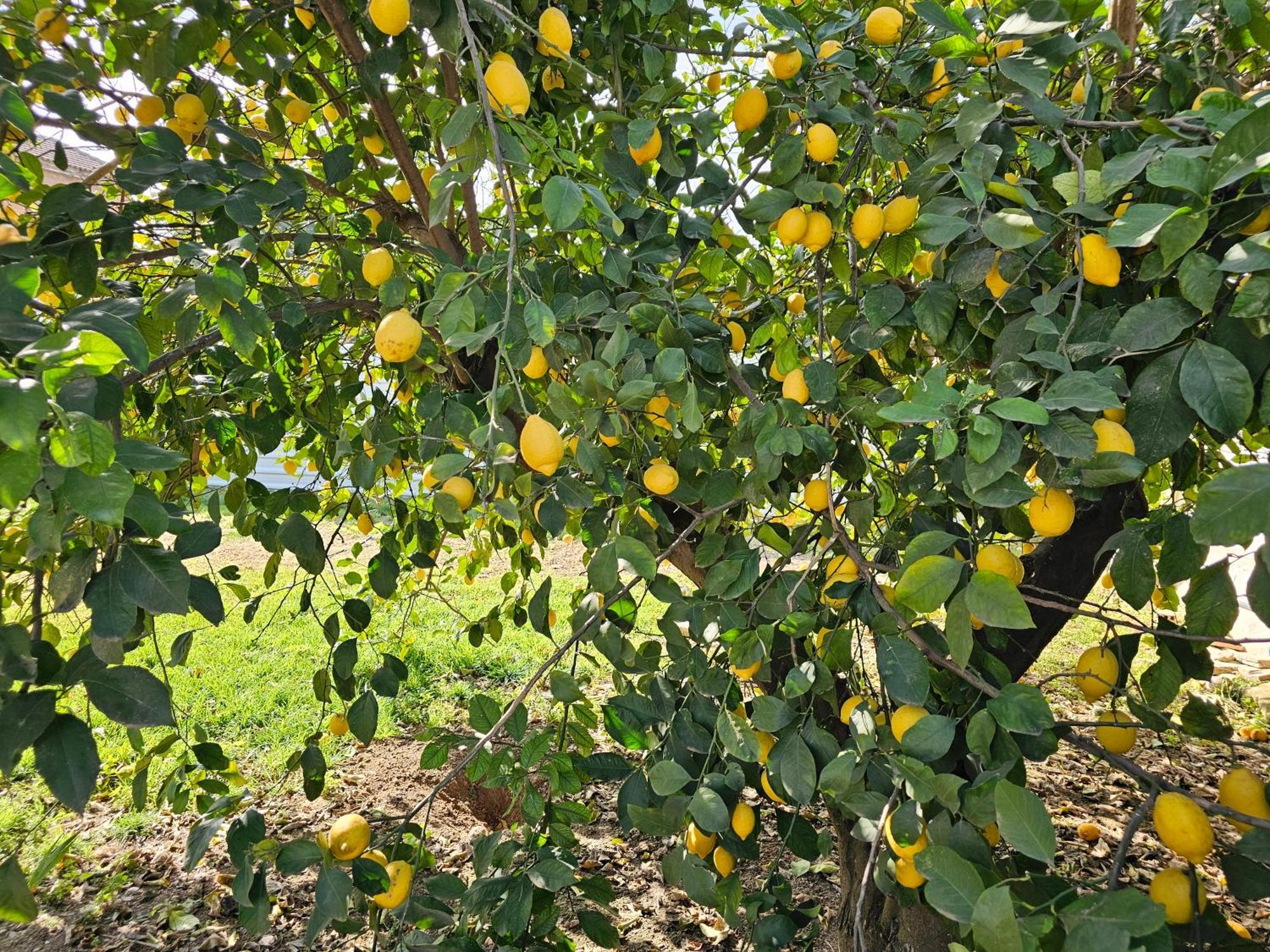 La Orquidea De Cordoba 빌라 외부 사진